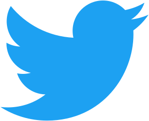Twitter Paid Marketing in Jetpur